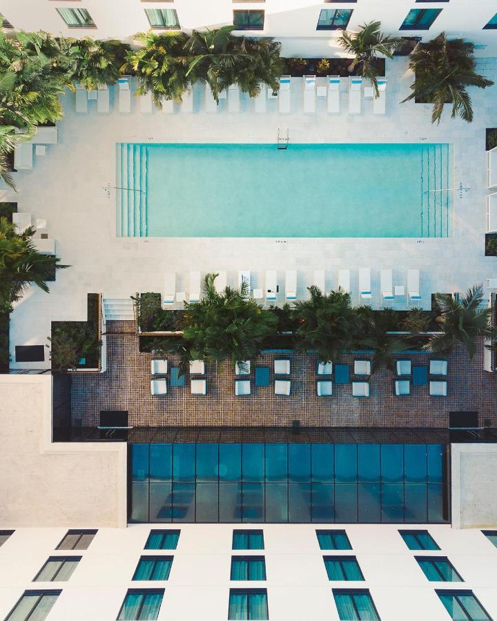 טאמפה Hotel Haya מראה חיצוני תמונה